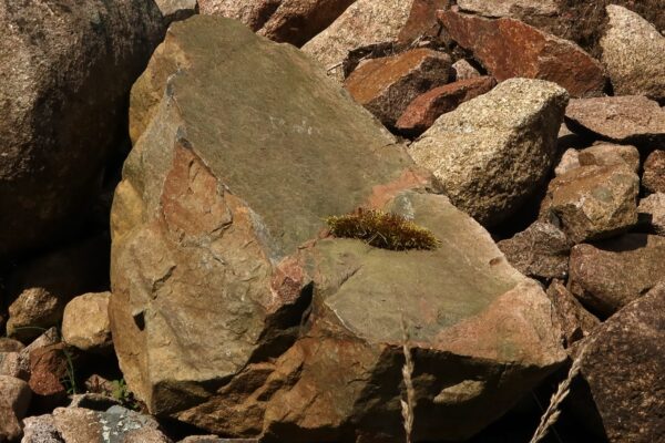 Borrad sten - Bild 2